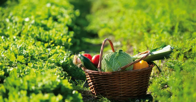 Marchés de producteur de Saint-Victor-Malescours